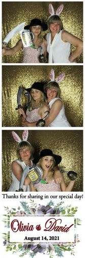 Great Grins Photo Booth Wedding Events